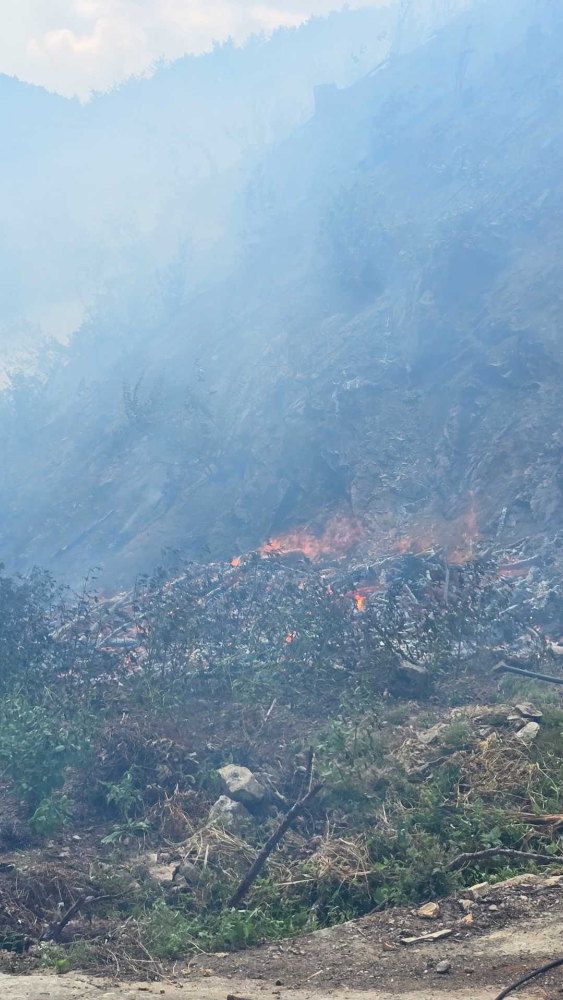 삼척 산불2.jpg