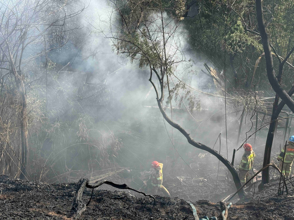 1038 양양 산림화재1.jpg