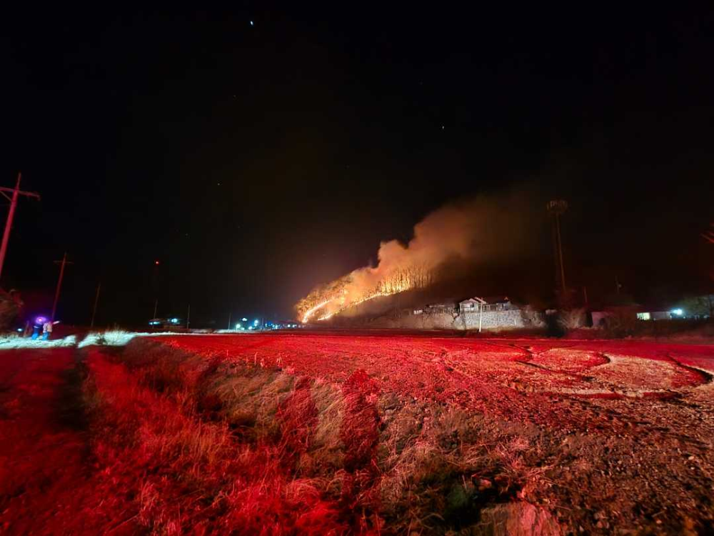 0056 양양 양양읍 화일리 산불 (2).jpg