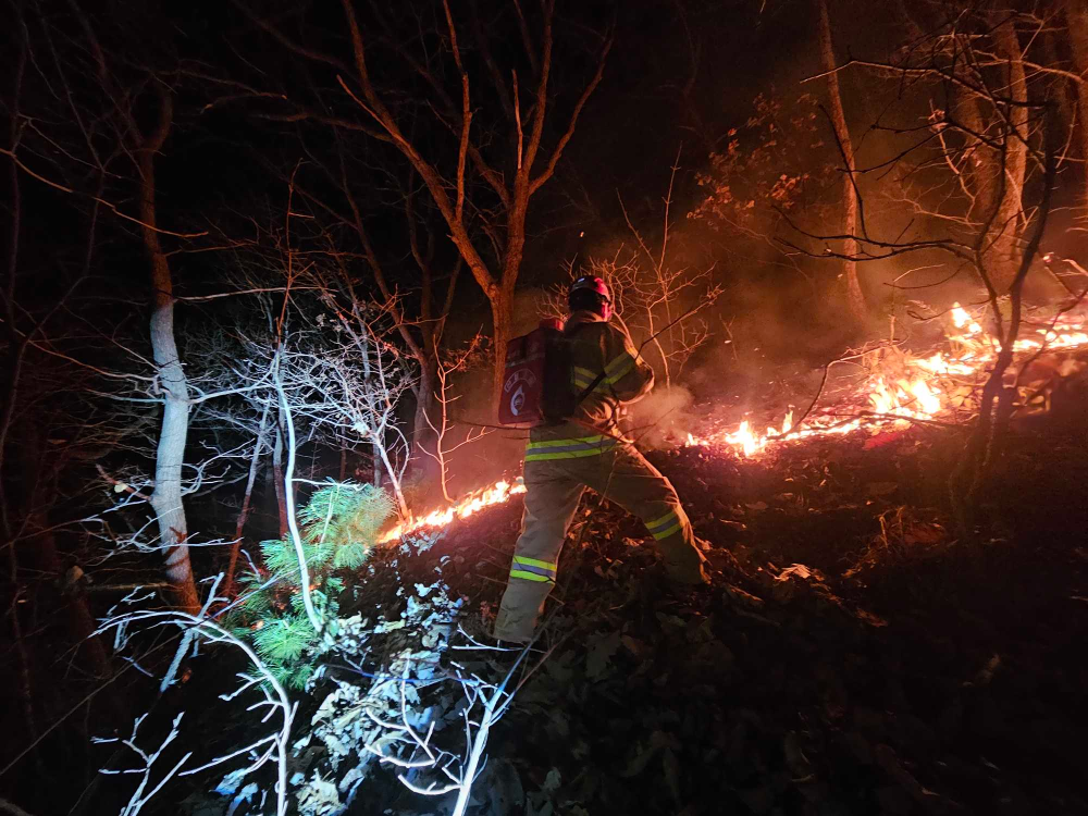 1854 춘천 신동면 팔미리 산림화재 3.jpg