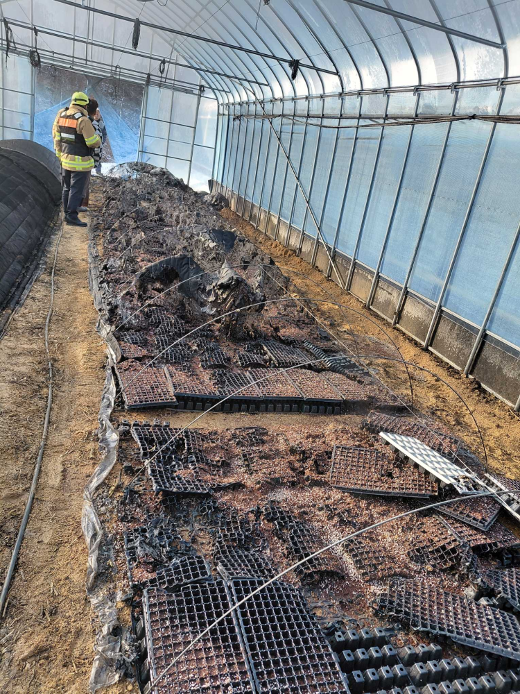 0809 횡성 둔내면 현천리 비닐하우스 화재.jpg