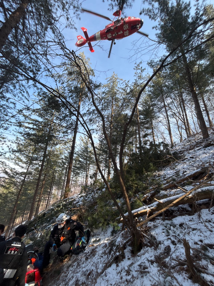 1325 인제 벌목 사고3.jpg