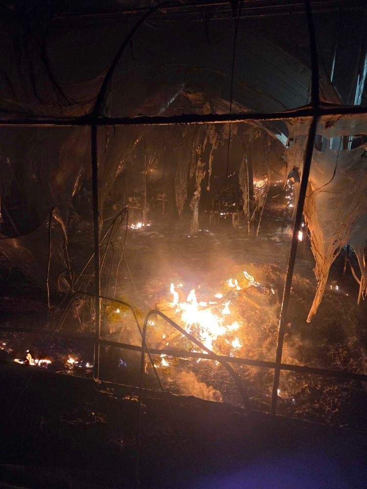 2052 춘천 신북읍 산천리 비닐하우스 화재 1.jpg