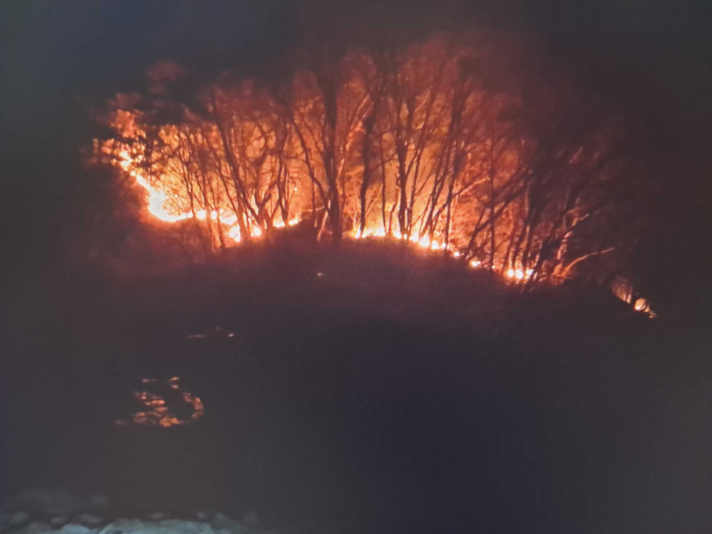 2310 춘천 산불2.jpg