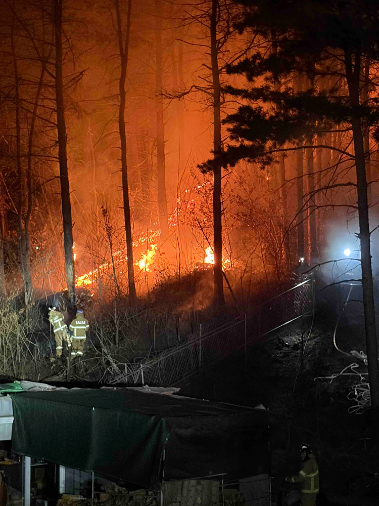 1857 춘천 동면 산림화재2.jpg