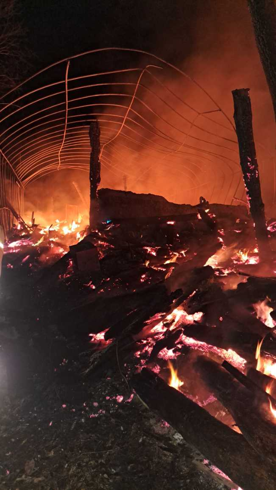 1920 홍천 내촌면 답풍리 주거비닐하우스 화재.jpg