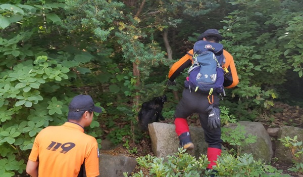 1706015_횡성_소방서_둔내면_화동리_실종자_수색작업_펼쳐~(2).jpg