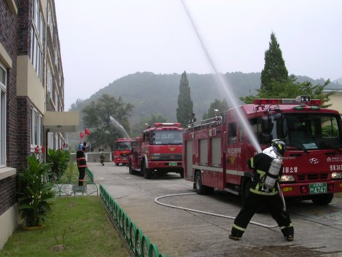 20060622.JPG