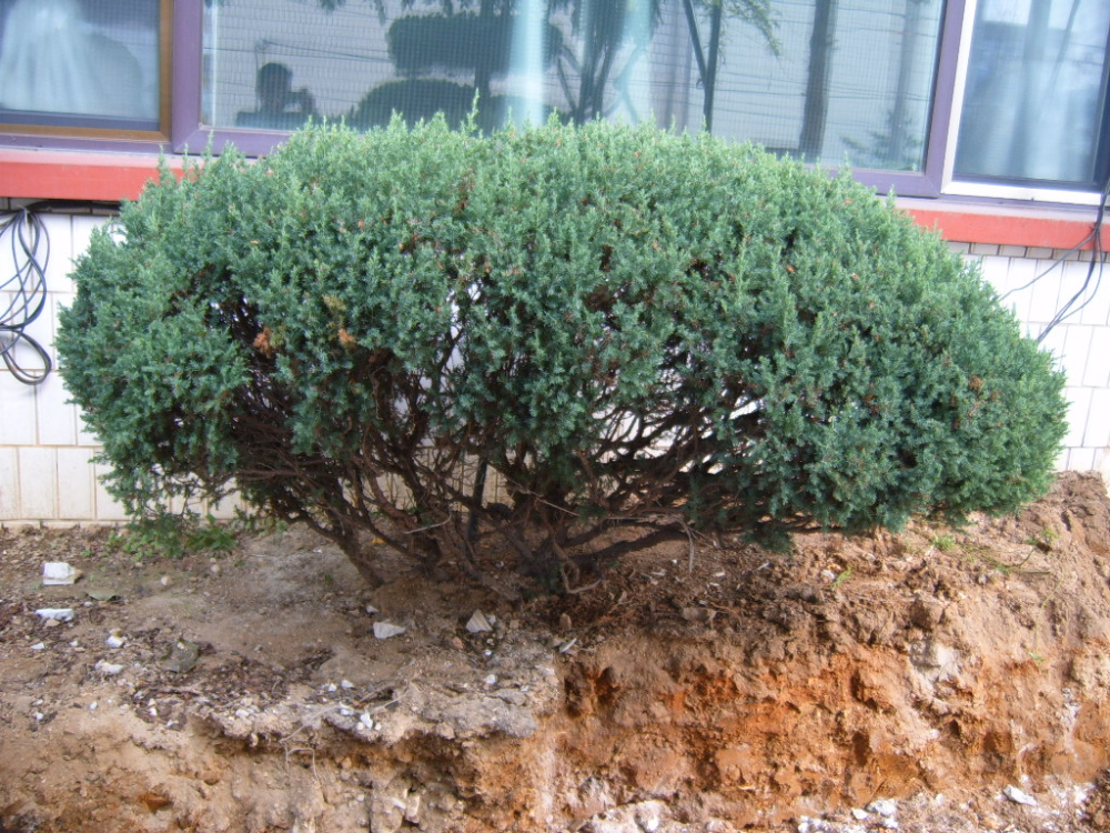 S4300198.JPG