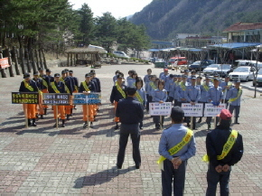 STP80439.JPG