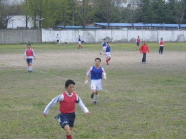 4123.jpg