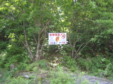 소방SA500099.JPG