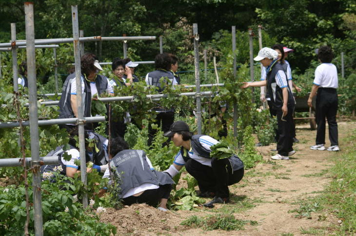 000일손돕기1.JPG
