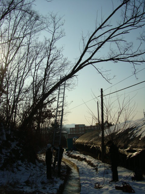 DSC02717.JPG