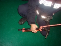 DSC06454.JPG