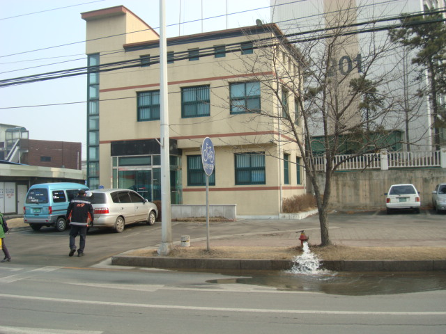 DSC03342.JPG