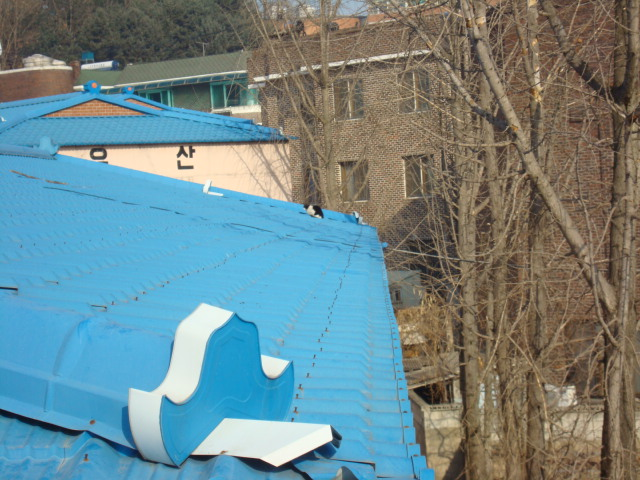 DSC03294.JPG