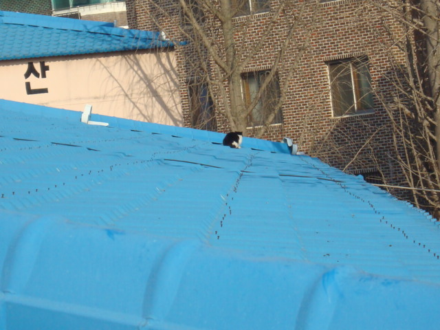 DSC03290.JPG