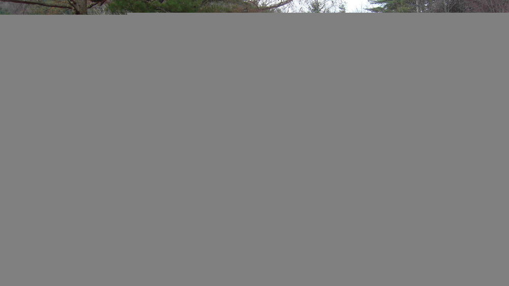 SDC10421.JPG