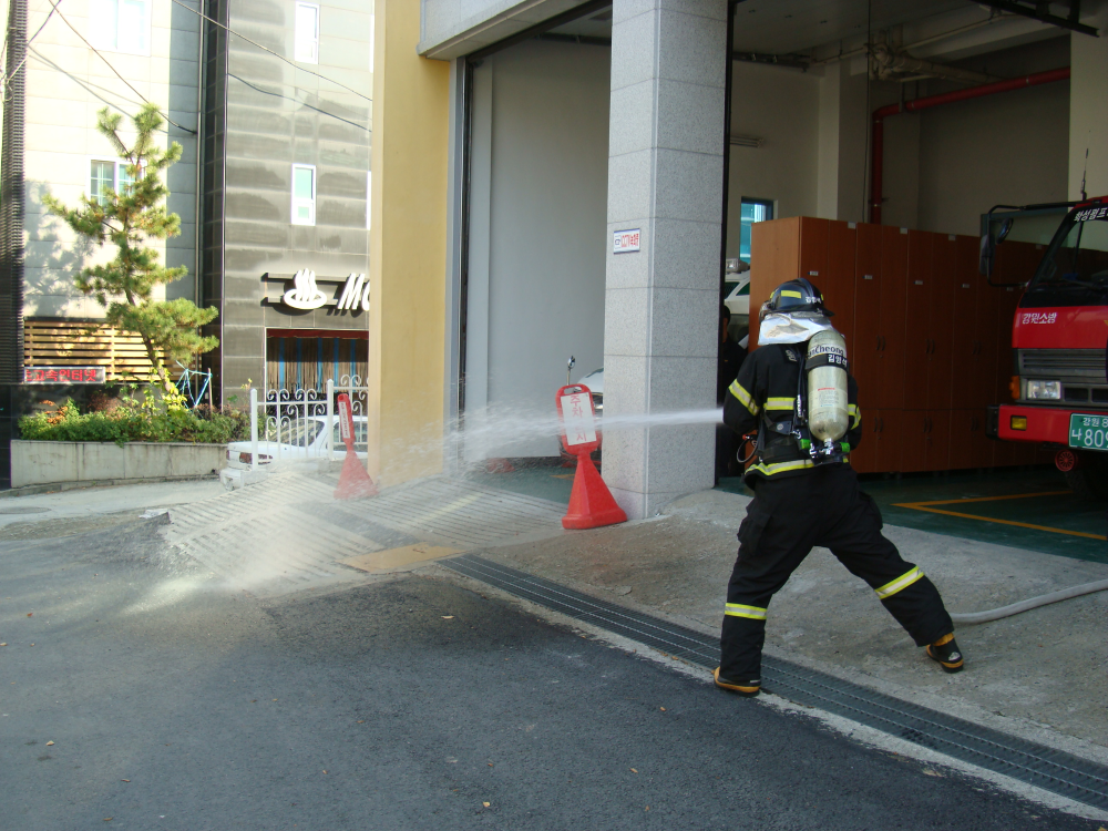 DSC08642.JPG