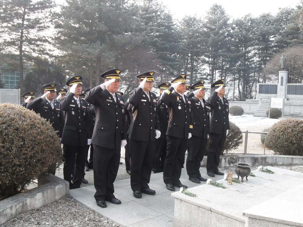SDC12758.JPG