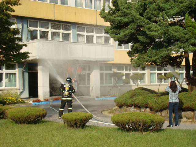 DSC02133.JPG