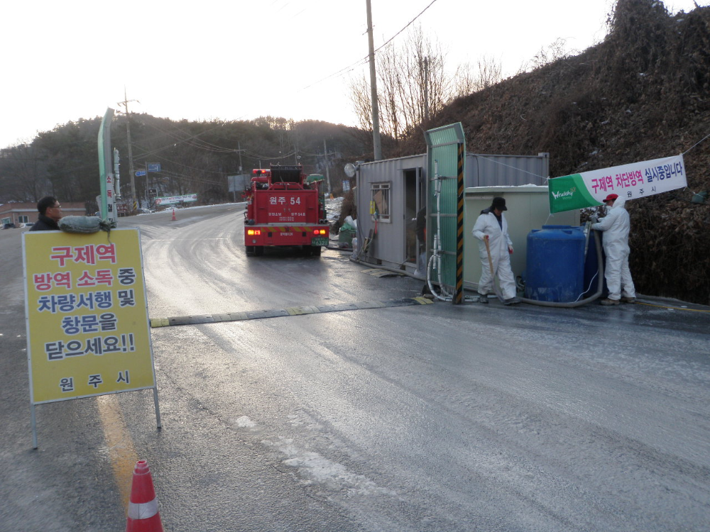 P1050031.JPG