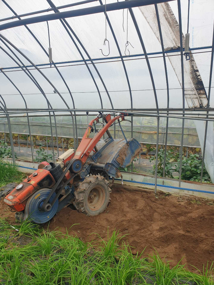 0952춘천 팔미리 안전사고.jpg